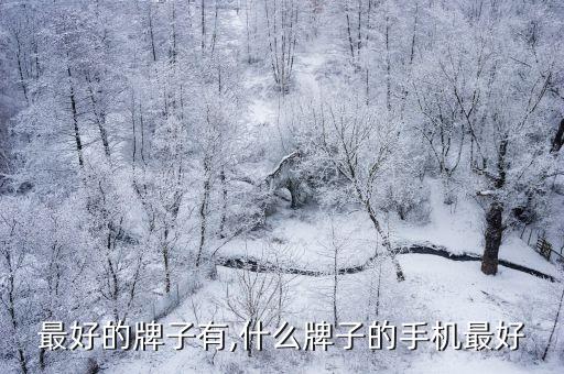 手机最好的牌子有,什么牌子的手机最好?