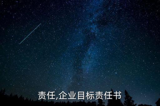 目标责任,企业目标责任书