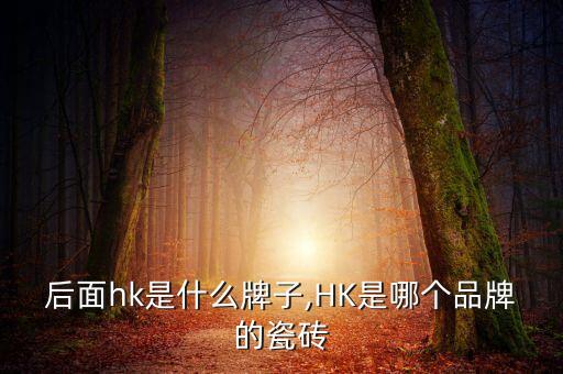 瓷砖后面hk是什么牌子,HK是哪个品牌的瓷砖?