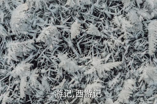 后西游记,西游记