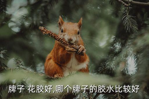 什么牌子 花胶好,哪个牌子的胶水比较好?