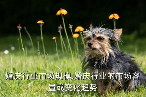 桂林婚庆行业市场规模,婚庆行业的市场容量或变化趋势
