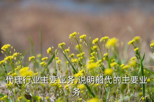 船舶代理行业主要业务,说明船代的主要业务