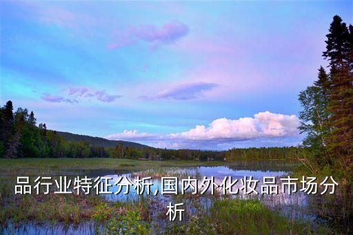 品行业特征分析,国内外化妆品市场分析