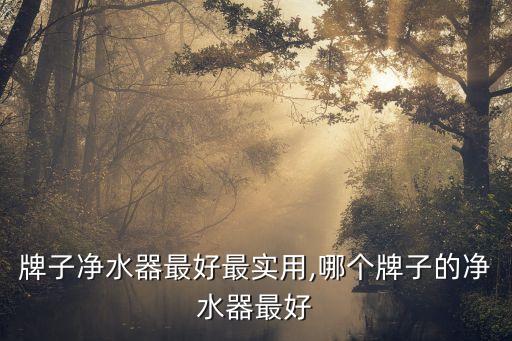 哪个牌子净水器最好最实用,哪个牌子的净水器最好?