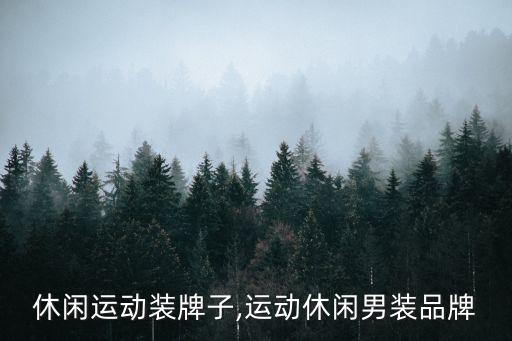 男士休闲运动装牌子,运动休闲男装品牌