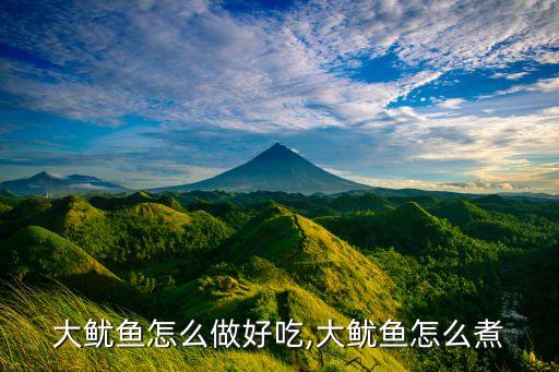 大鱿鱼怎么做好吃,大鱿鱼怎么煮