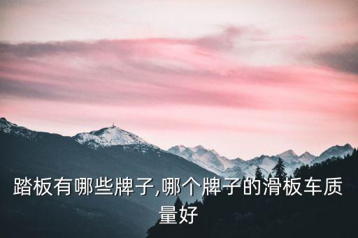 国产踏板有哪些牌子,哪个牌子的滑板车质量好?