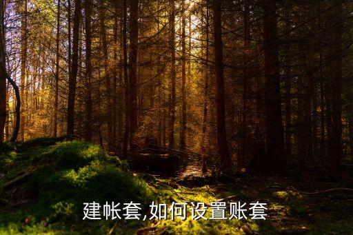 怎么建帐套,如何设置账套