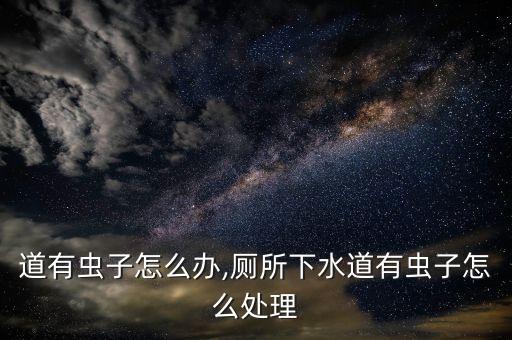 道有虫子怎么办,厕所下水道有虫子怎么处理