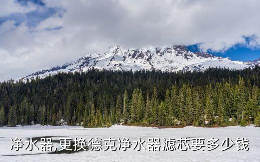 德克净水器,更换德克净水器滤芯要多少钱?