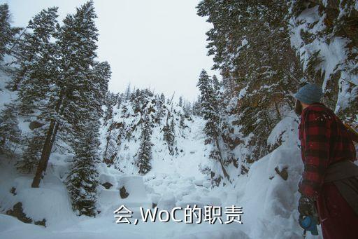 妇代会,WoC的职责