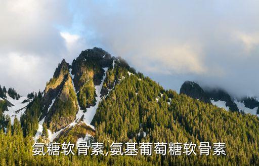 硫酸氨糖软骨素,氨基葡萄糖软骨素