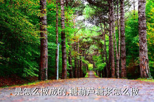是怎么做成的,糖葫芦糖浆怎么做