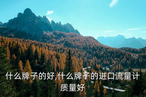 仪表什么牌子的好,什么牌子的进口流量计质量好?
