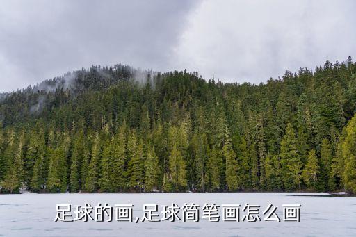 足球的画,足球简笔画怎么画