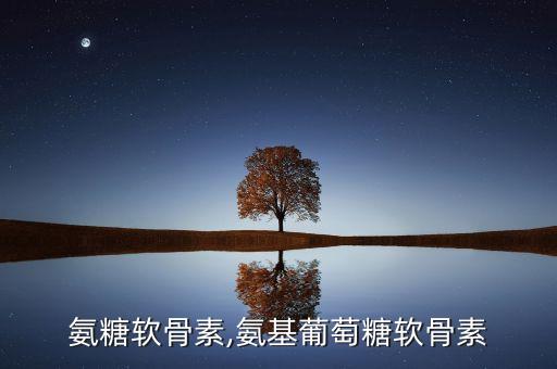 氨糖软骨素,氨基葡萄糖软骨素