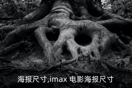 电影海报尺寸,imax 电影海报尺寸