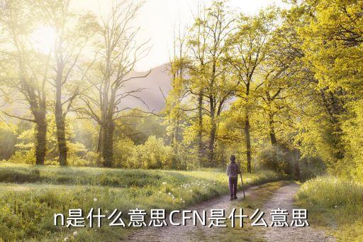 cfn是什么意思CFN是什么意思?