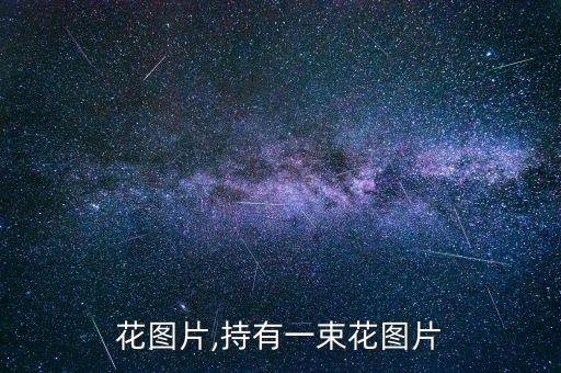 一束花图片,持有一束花图片