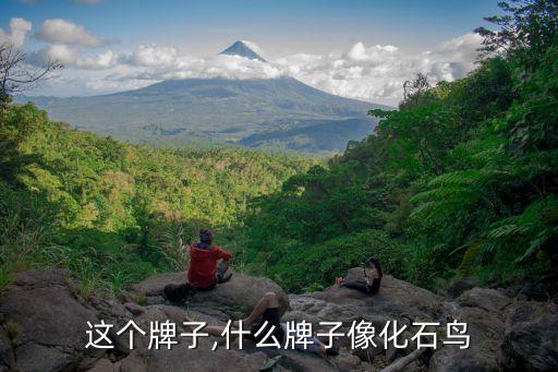 化石这个牌子,什么牌子像化石鸟?