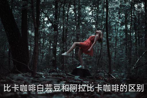 阿拉比卡咖啡白芸豆和阿拉比卡咖啡的区别