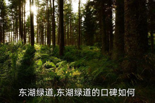 武汉东湖绿道,东湖绿道的口碑如何?