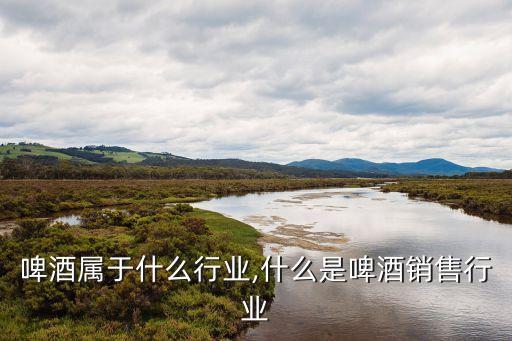 销售啤酒属于什么行业,什么是啤酒销售行业?