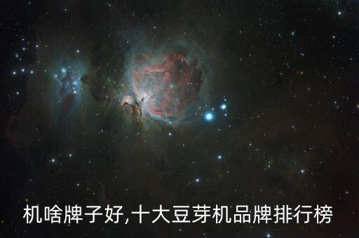 机啥牌子好,十大豆芽机品牌排行榜
