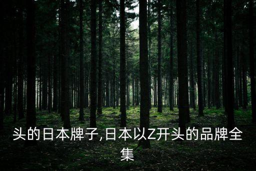 z开头的日本牌子,日本以Z开头的品牌全集