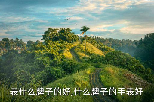 表什么牌子的好,什么牌子的手表好