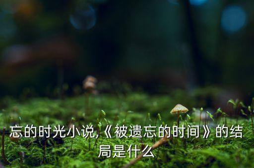 被遗忘的时光小说,《被遗忘的时间》的结局是什么?