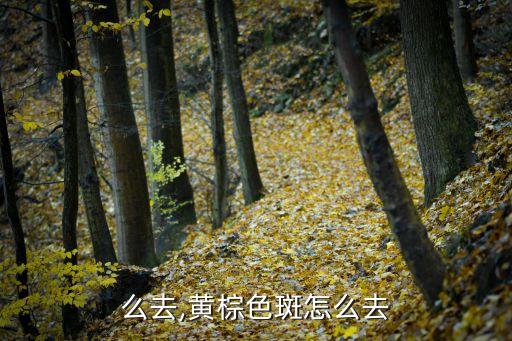 么去,黄棕色斑怎么去