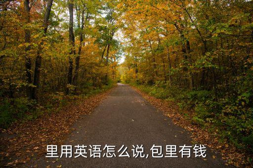 在包里用英语怎么说,包里有钱