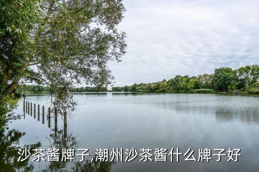 潮汕沙茶酱牌子,潮州沙茶酱什么牌子好?