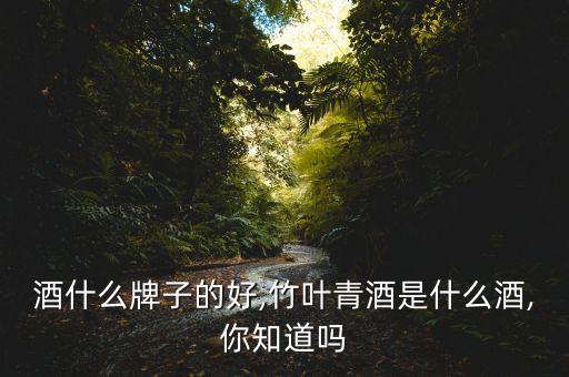 酒什么牌子的好,竹叶青酒是什么酒,你知道吗