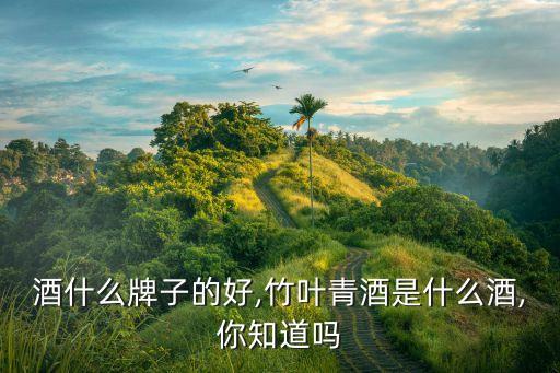 酒什么牌子的好,竹叶青酒是什么酒,你知道吗