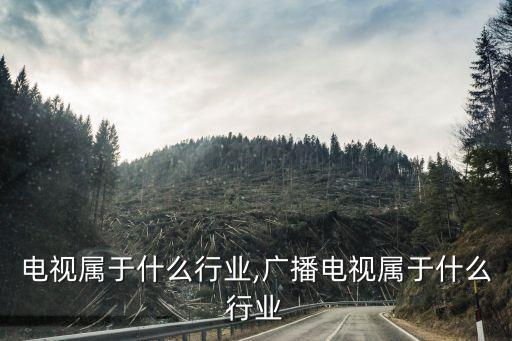 数字电视属于什么行业,广播电视属于什么行业?