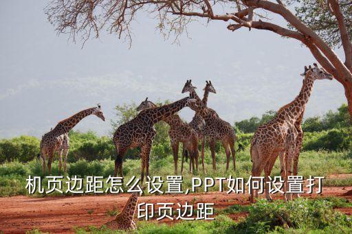 机页边距怎么设置,PPT如何设置打印页边距