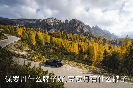 保婴丹什么牌子好,宝应丹有什么牌子