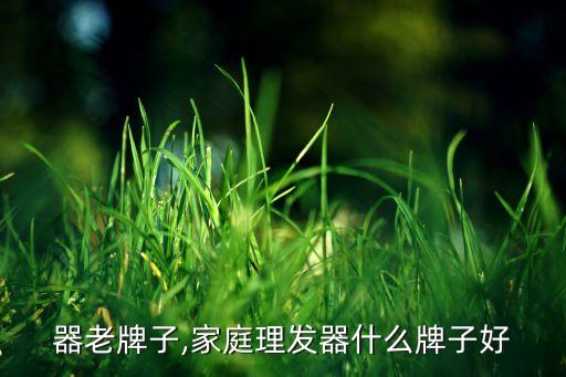 理发器老牌子,家庭理发器什么牌子好?