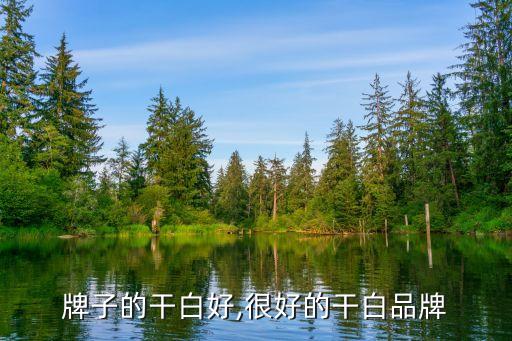 哪个牌子的干白好,很好的干白品牌