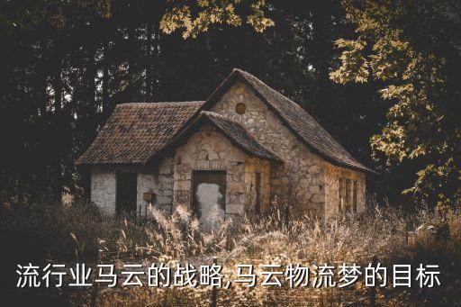 在物流行业马云的战略,马云物流梦的目标