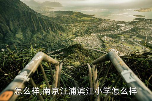 怎么样,南京江浦滨江小学怎么样