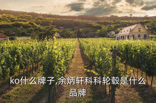 koko什么牌子,余炳轩科科轮毂是什么品牌?