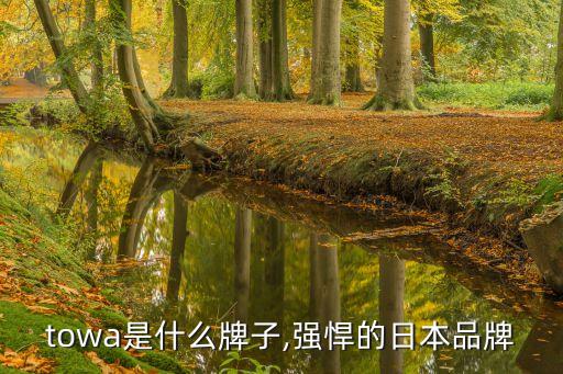 towa是什么牌子,强悍的日本品牌