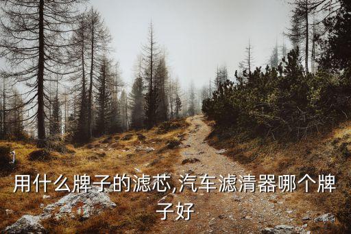 奥迪用什么牌子的滤芯,汽车滤清器哪个牌子好?