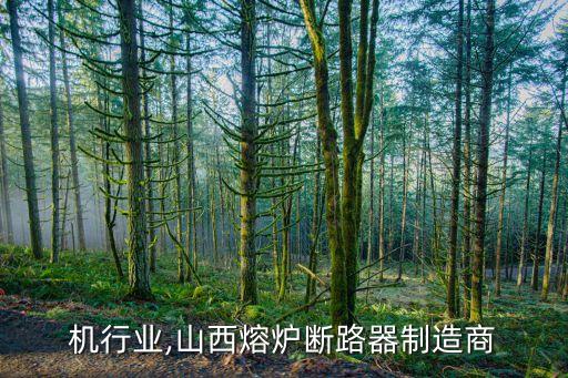 机行业,山西熔炉断路器制造商