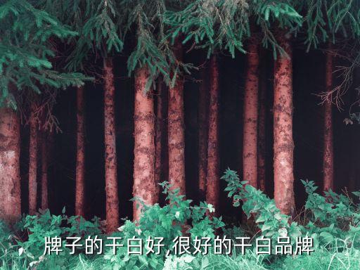 牌子的干白好,很好的干白品牌