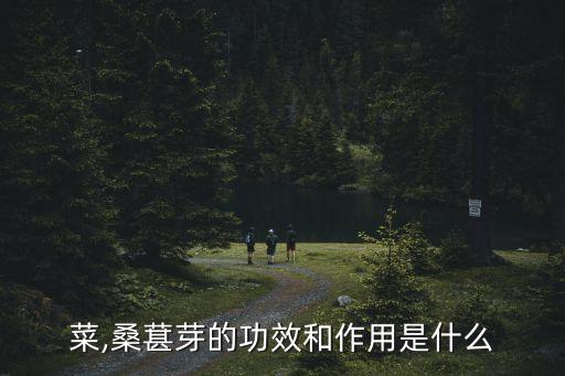 桑叶菜,桑葚芽的功效和作用是什么?